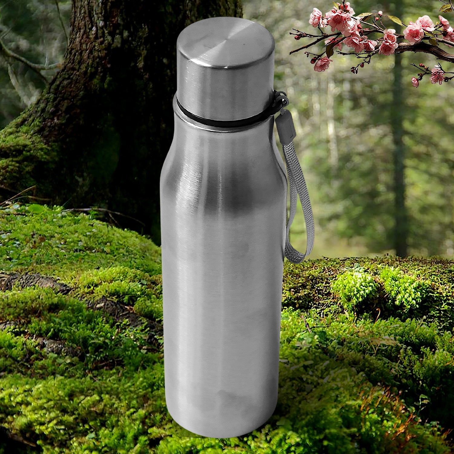 Travel Bottle (1000 ML) - Bhavnagar Deodap