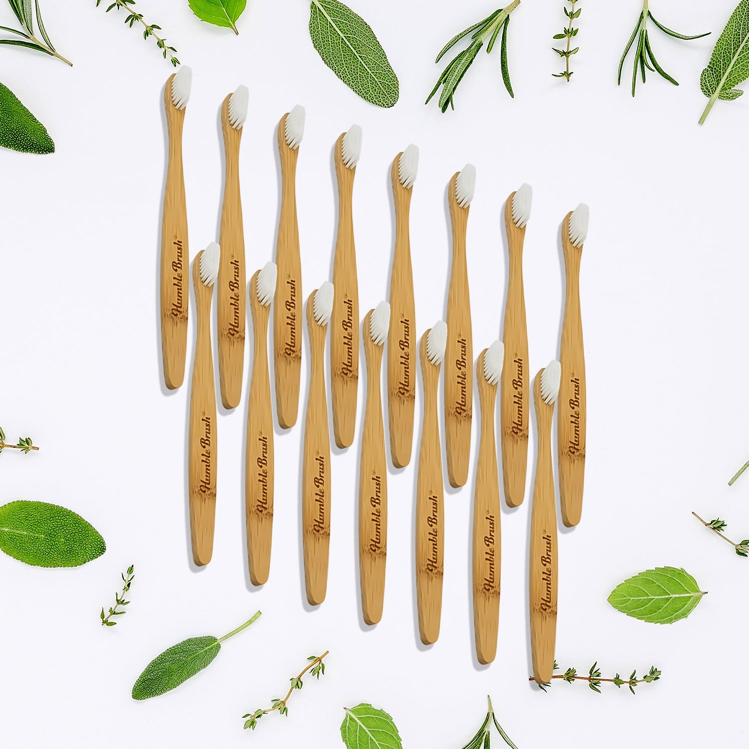 Bamboo Wooden Toothbrush Soft Toothbrush Wooden Child Bamboo Biodegradable Toothbrush, Manual Toothbrush for Adult, Kids (15 pcs set / With Round Box) - Bhavnagar Deodap