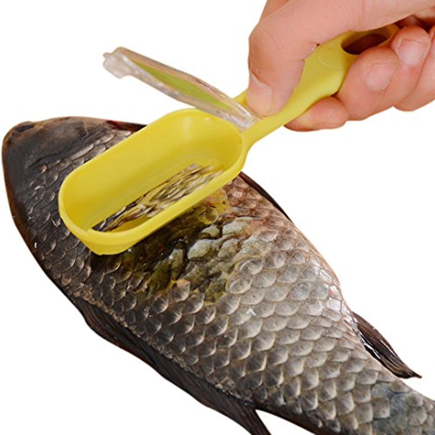 Effortless Fish Cleaning: Scraper, Grater & Brush in One (1 Pc) - Bhavnagar Deodap