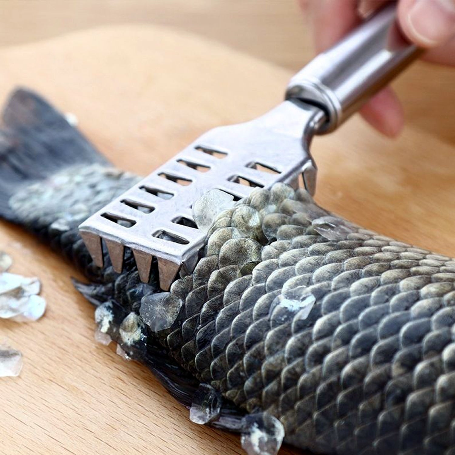 Fish Scale Remover Scraper Stainless Steel Fish Cutting Tools Sawtooth Easily Remove Fish Scales-Cleaning Brush Scraper Kitchen Tool- - Bhavnagar Deodap