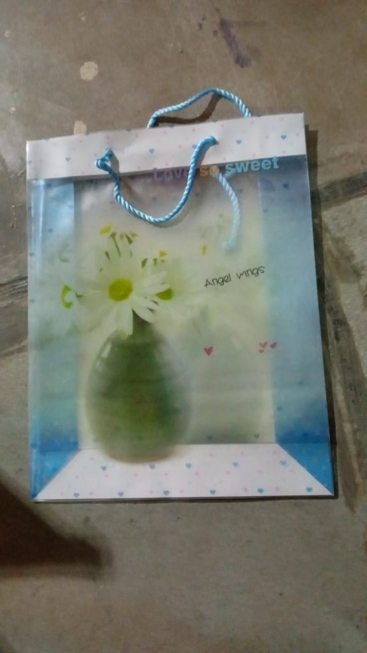 Plastic Transparent Bag With Handle (1 Pc / 34 x 26 Cm) - Bhavnagar Deodap