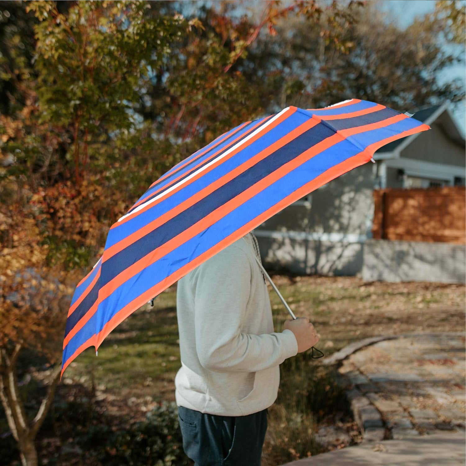 Foldable Umbrella