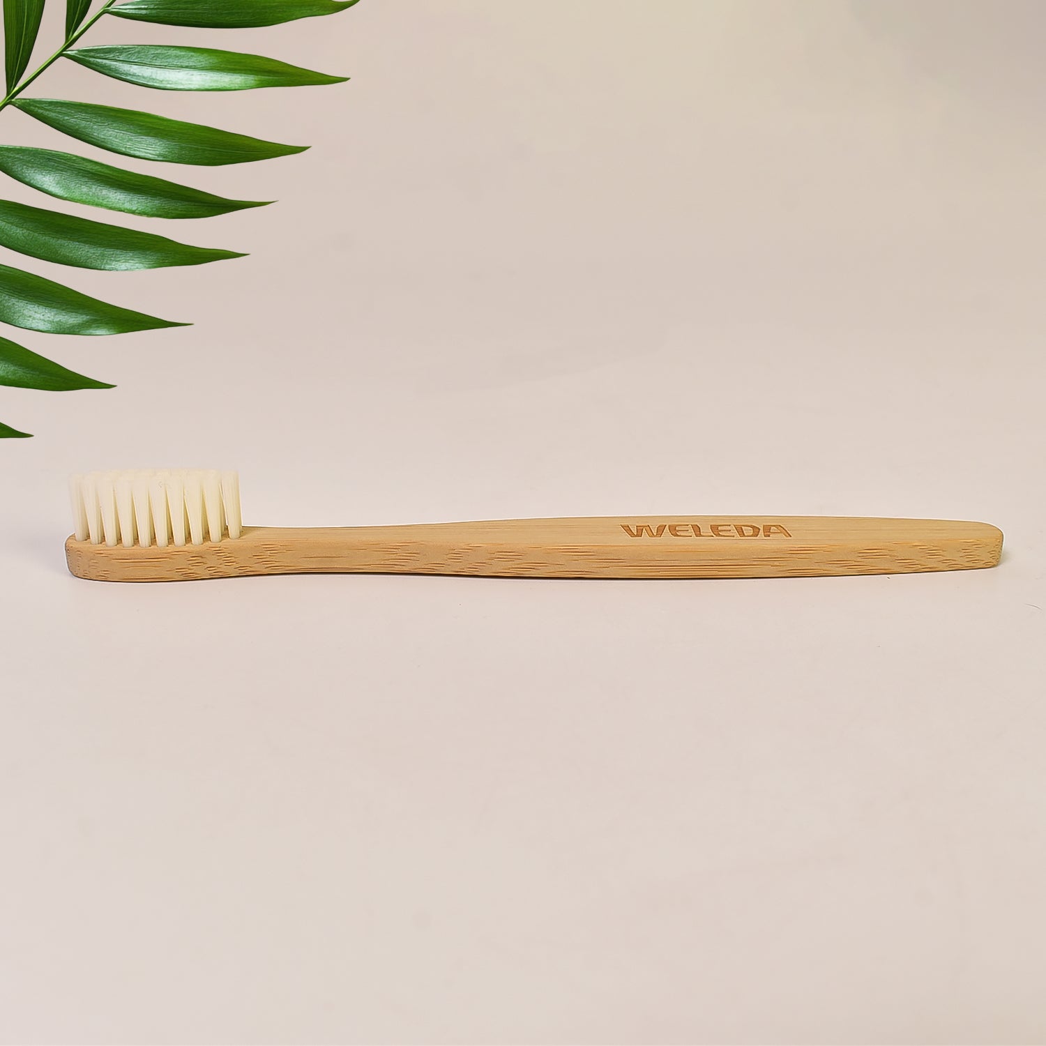 GreenSoft Brush