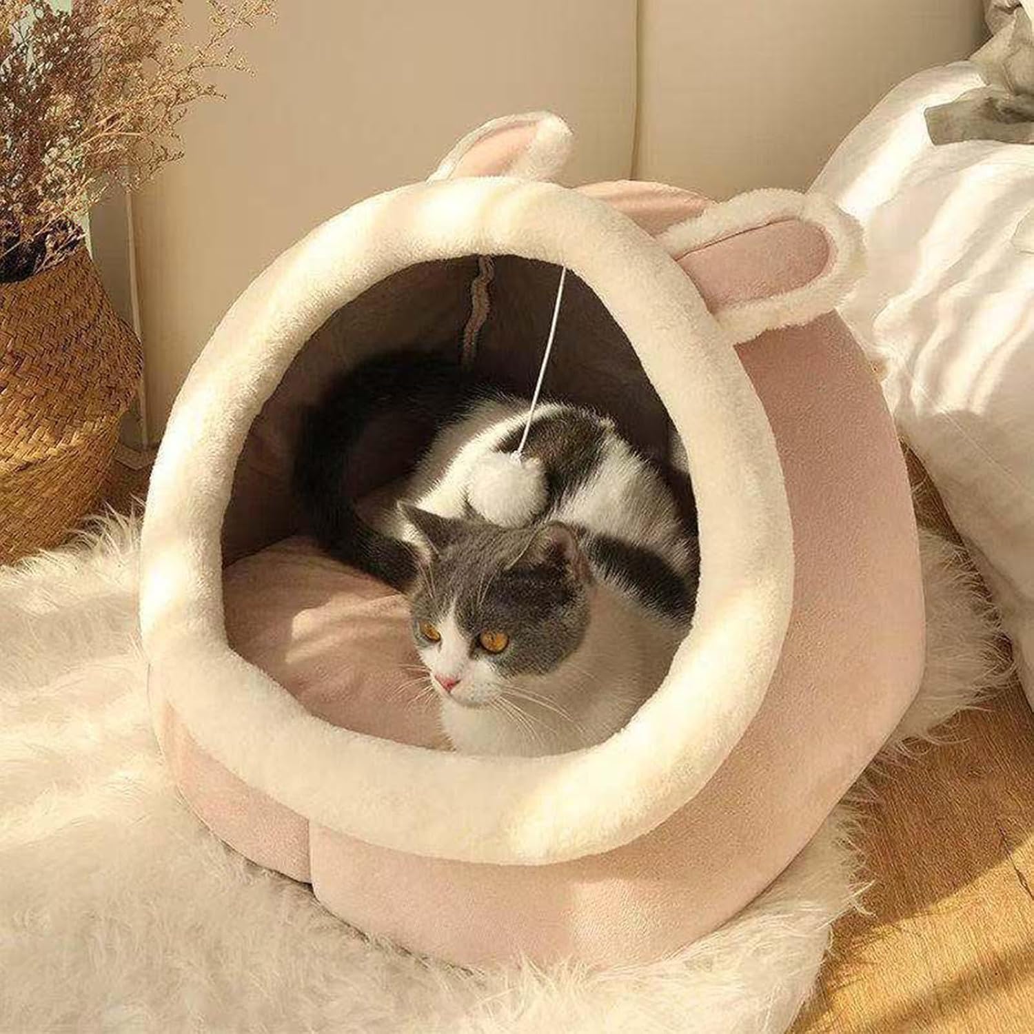 Dreamy Paw Palace