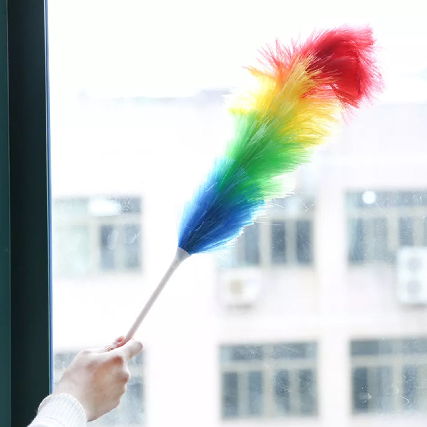 Dusting Brush