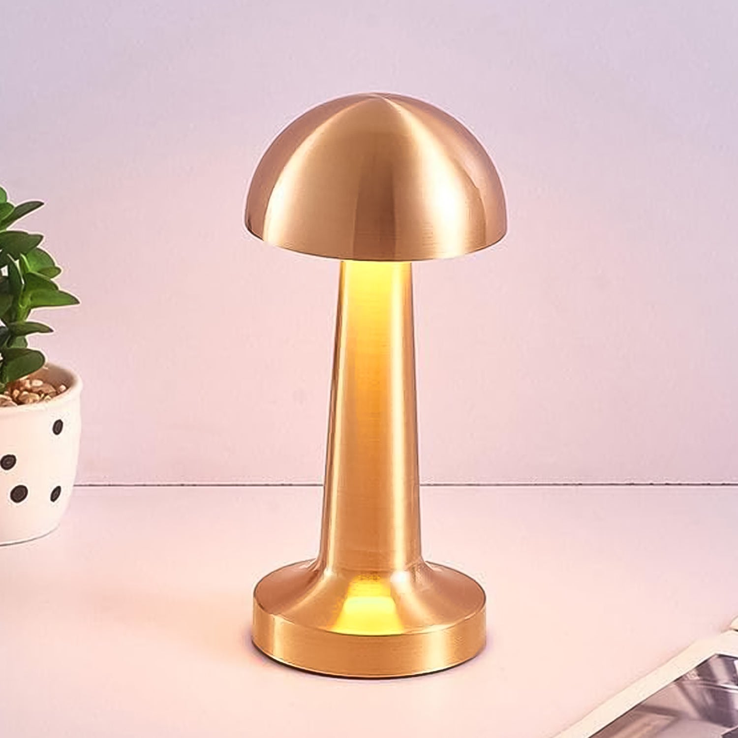 Decorative Desk Lamp, Portable Metal LED Table Lamp
