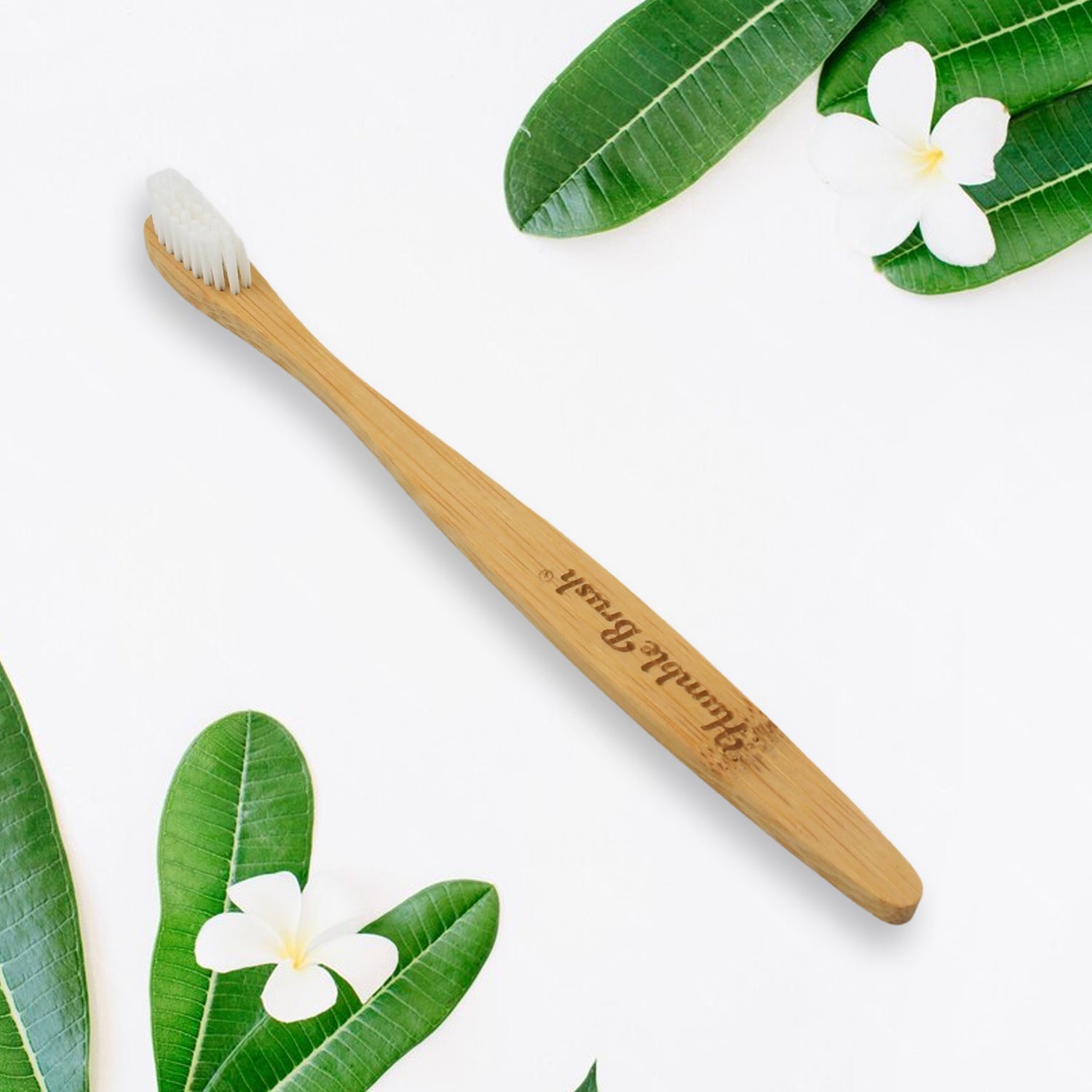 Bamboo Wooden Toothbrush Soft Toothbrush Wooden Child Bamboo Biodegradable Toothbrush, Manual Toothbrush for Adult, Kids (15 pcs set / With Round Box) - Bhavnagar Deodap