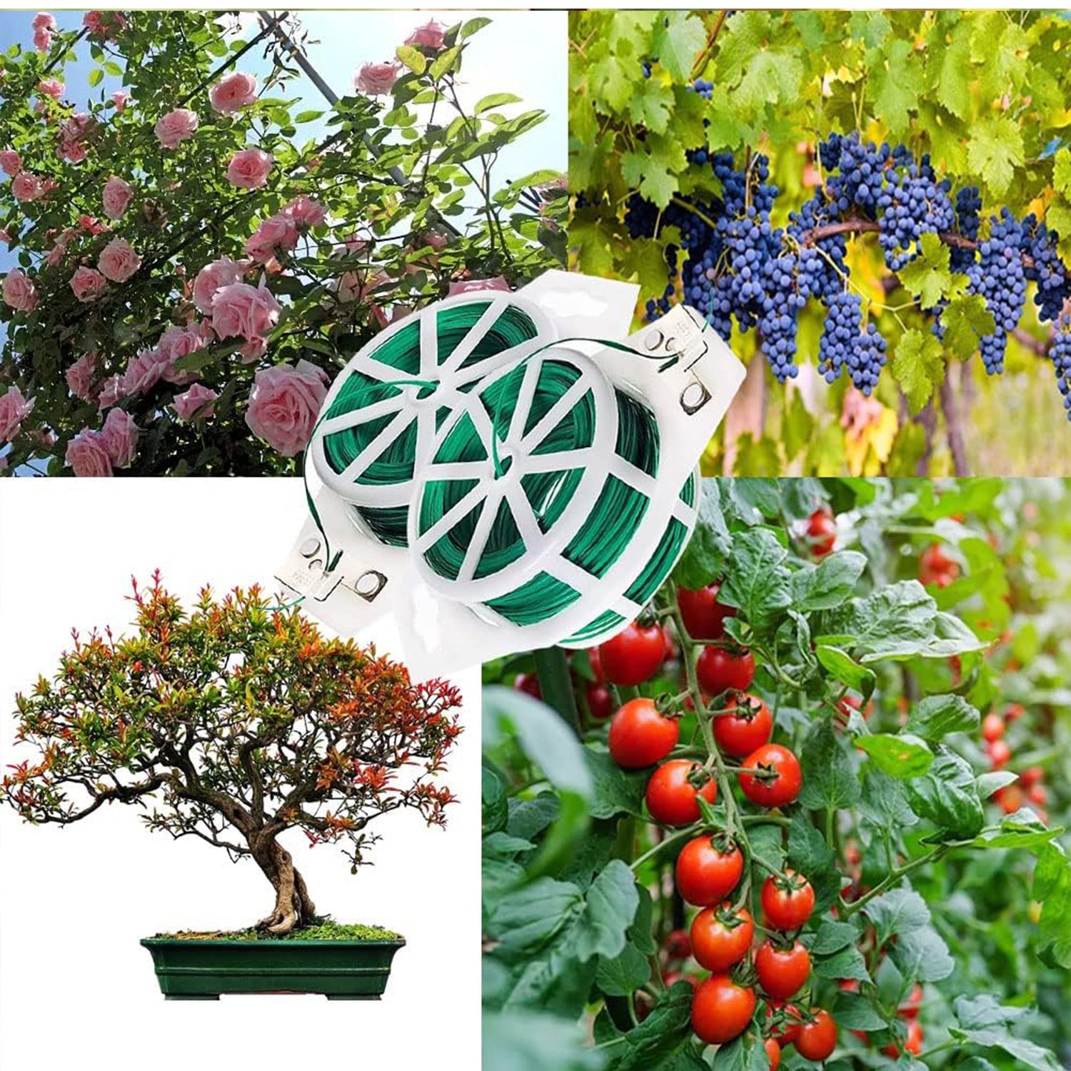 Garden Wire, Sturdy Plant Ties for Support, Garden Ties with Cutter for Tomatoes Vines, Plant Wire Tie Wire for Indoor, Outdoor, Home and Office Use (50 Mtr) - Bhavnagar Deodap