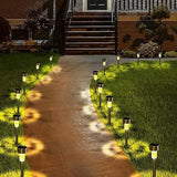 LED Stainless Steel Solar Walkway Light