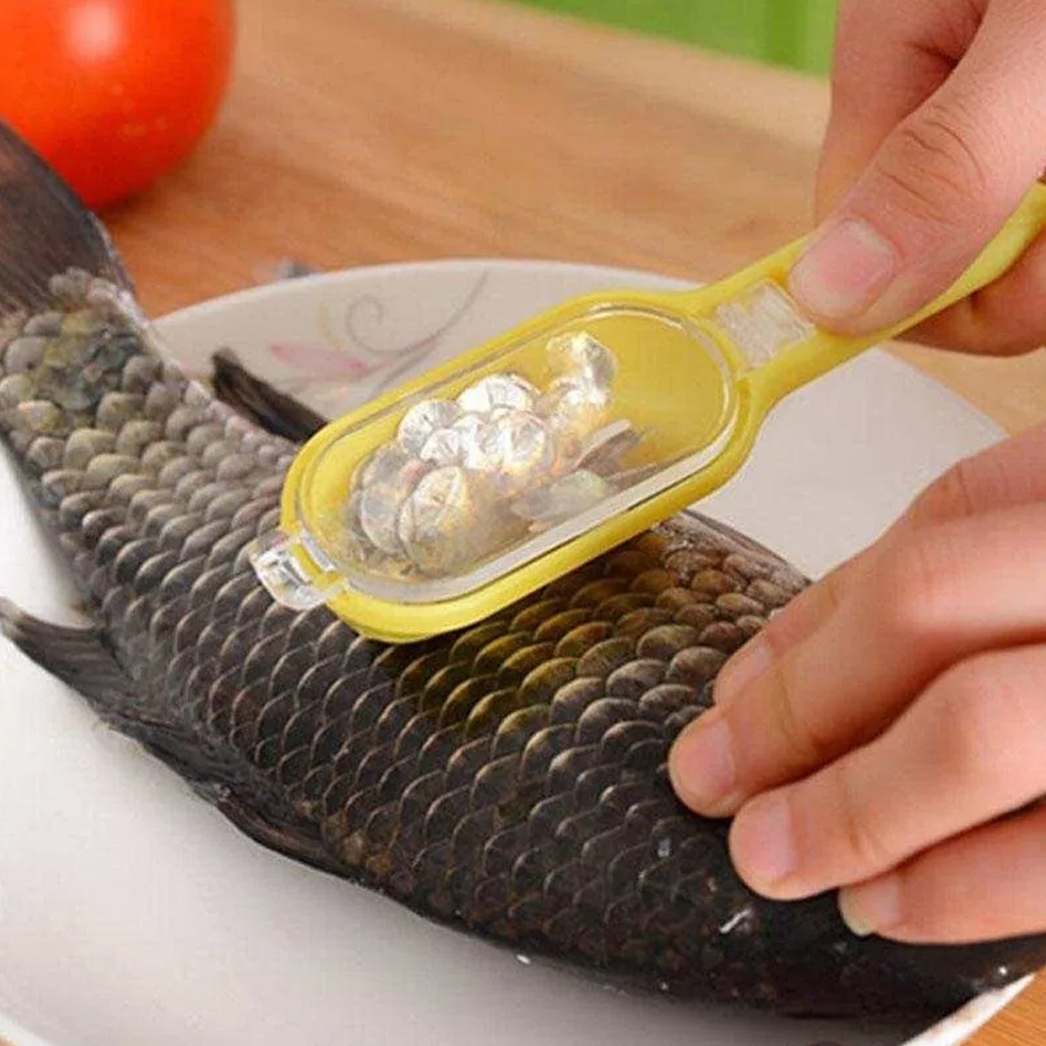 Effortless Fish Cleaning: Scraper, Grater & Brush in One (1 Pc) - Bhavnagar Deodap