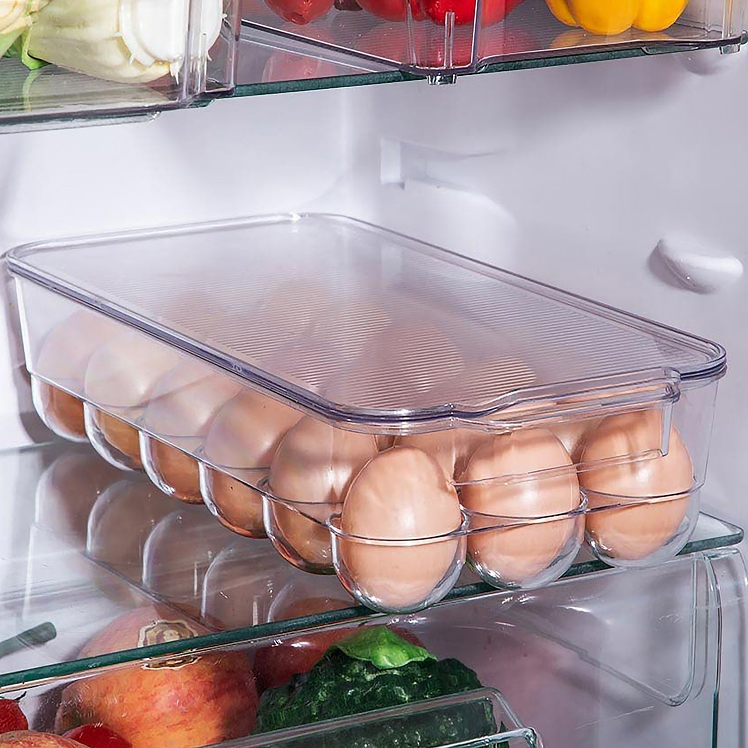 Plastic 18 Cavity Egg Storage Box Or Egg Trays For Refrigerator With Lid & Handles High Quality, Rectangular Egg Tray Box For 18 Egg (1 Pc) - Bhavnagar Deodap