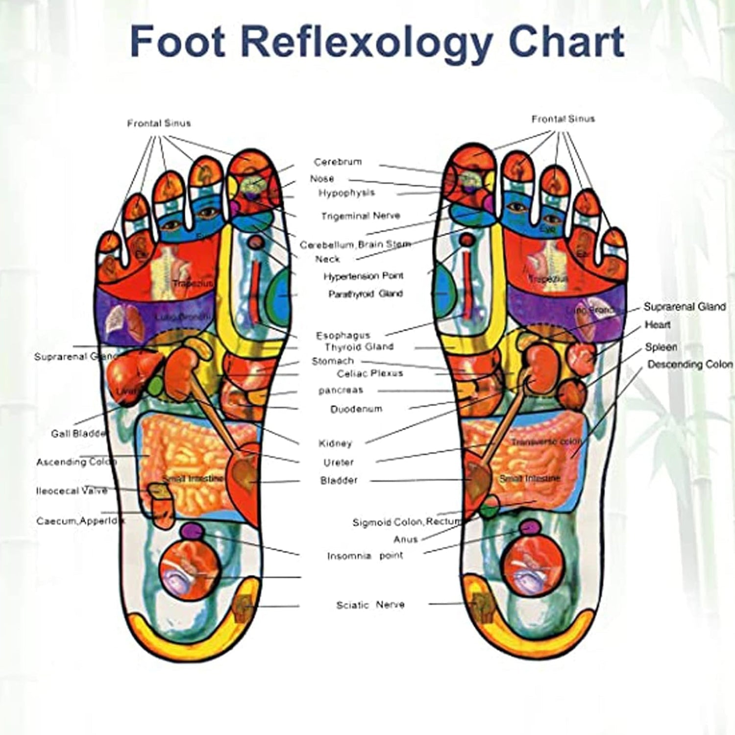 kinoki Cleansing Detox Foot Pads, Ginger & salt Foot Patch -10pcs (Free Size, White) - Bhavnagar Deodap