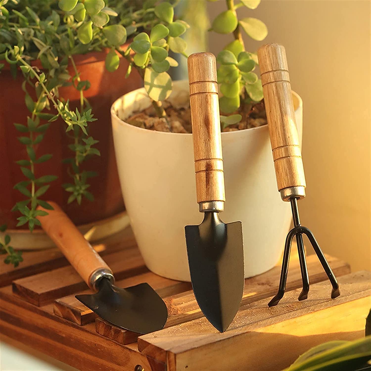 Small sized Hand Cultivator, Small Trowel, Garden Fork (Set of 3) - Bhavnagar Deodap