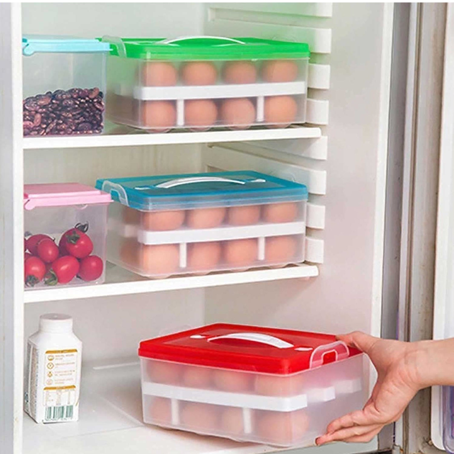 2Layer, 32 Grid Egg Tray with Lid Egg Carrier Holder for Refrigerator, Camping Food Storage Container with Handle (1 Pc ) - Bhavnagar Deodap