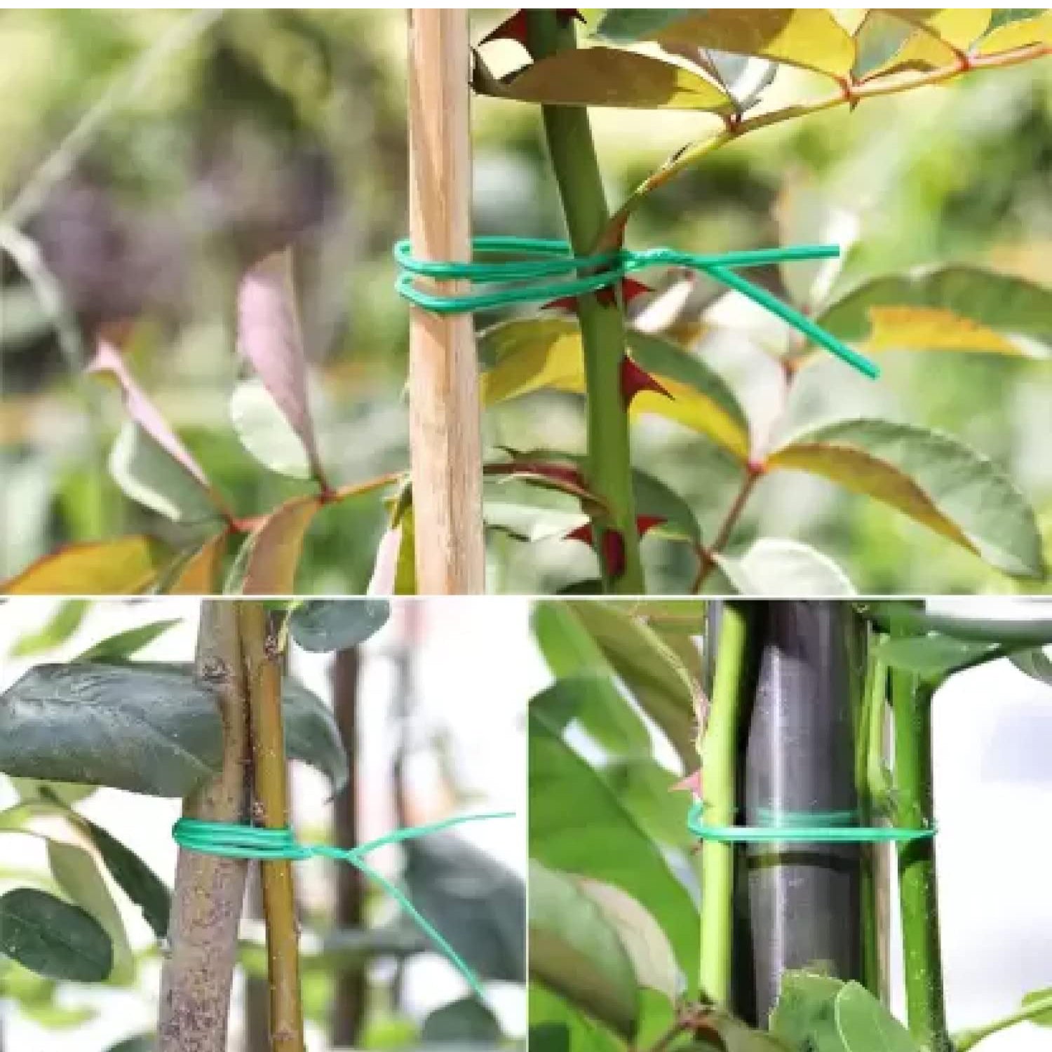 Garden Wire, Sturdy Plant Ties for Support, Garden Ties with Cutter for Tomatoes Vines, Plant Wire Tie Wire for Indoor, Outdoor, Home and Office Use (50 Mtr) - Bhavnagar Deodap