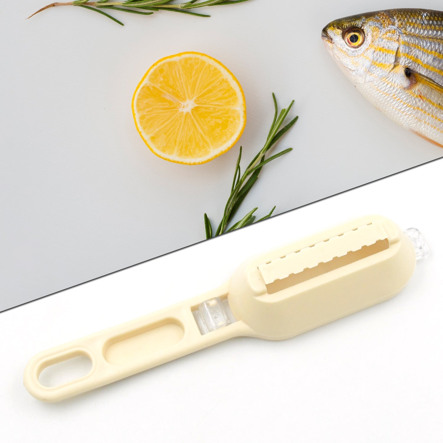 Effortless Fish Cleaning: Scraper, Grater & Brush in One (1 Pc) - Bhavnagar Deodap