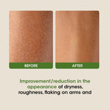 OG Beauty Science Aloe Vera Body Lotion (350ML / 1 Pc)