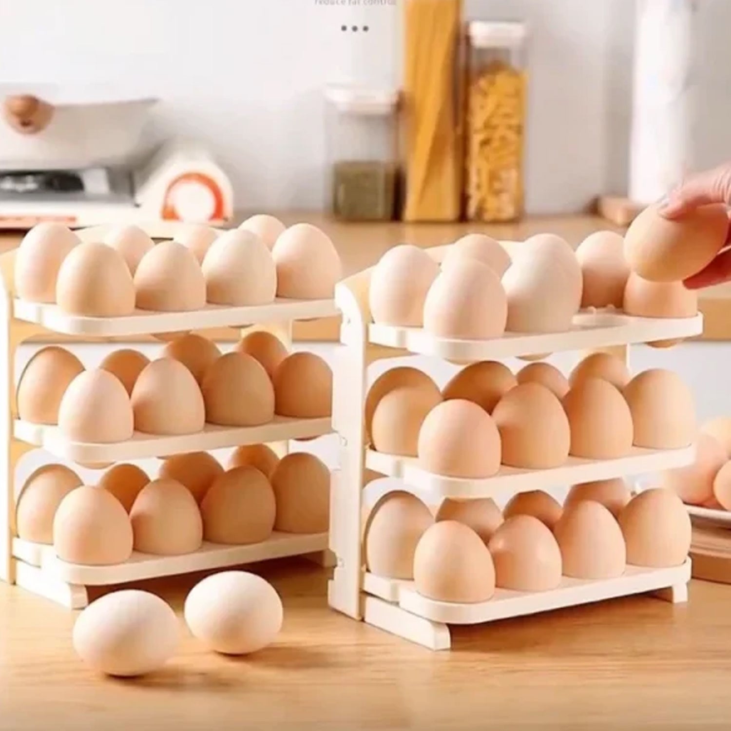 24 Grid Egg Storage Box (1 Pc)