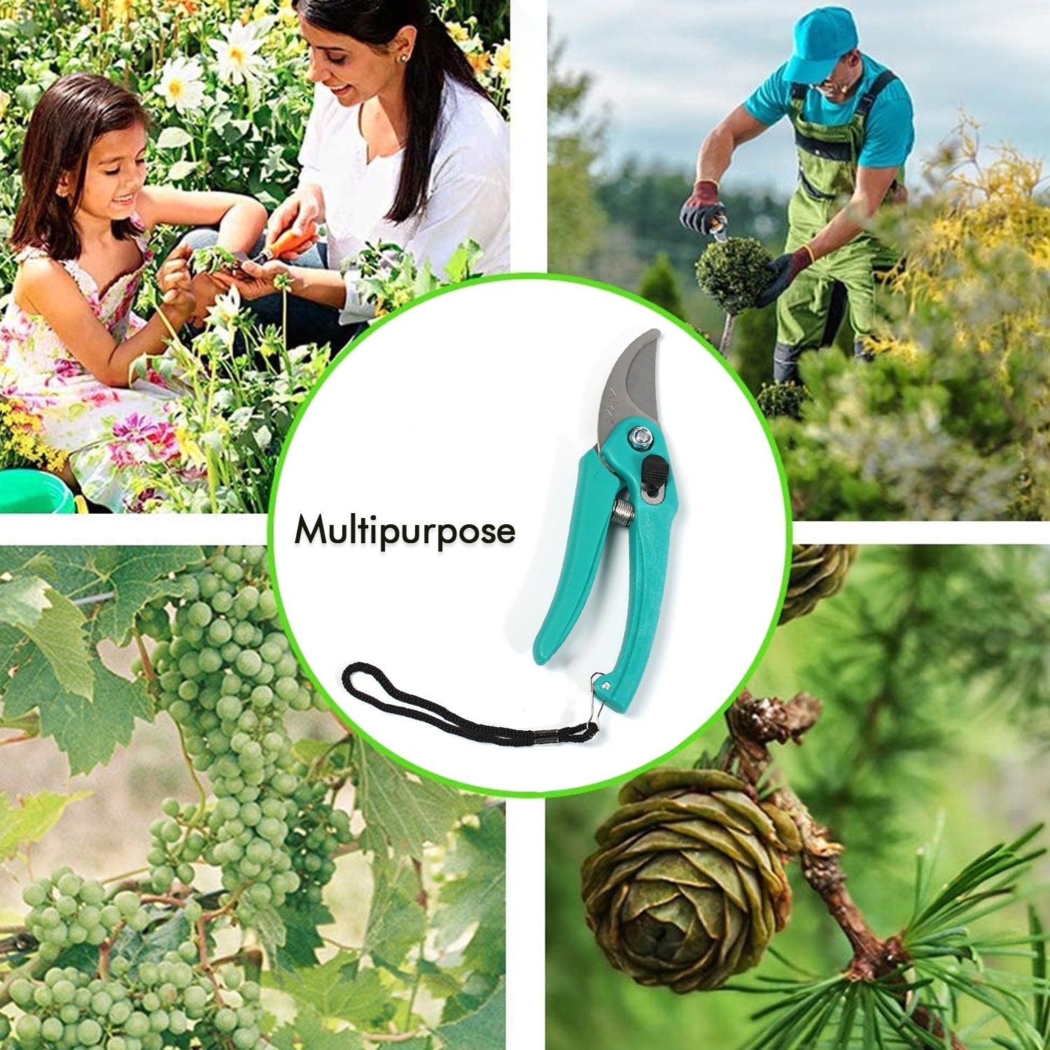 Sturdy Stem Scissors