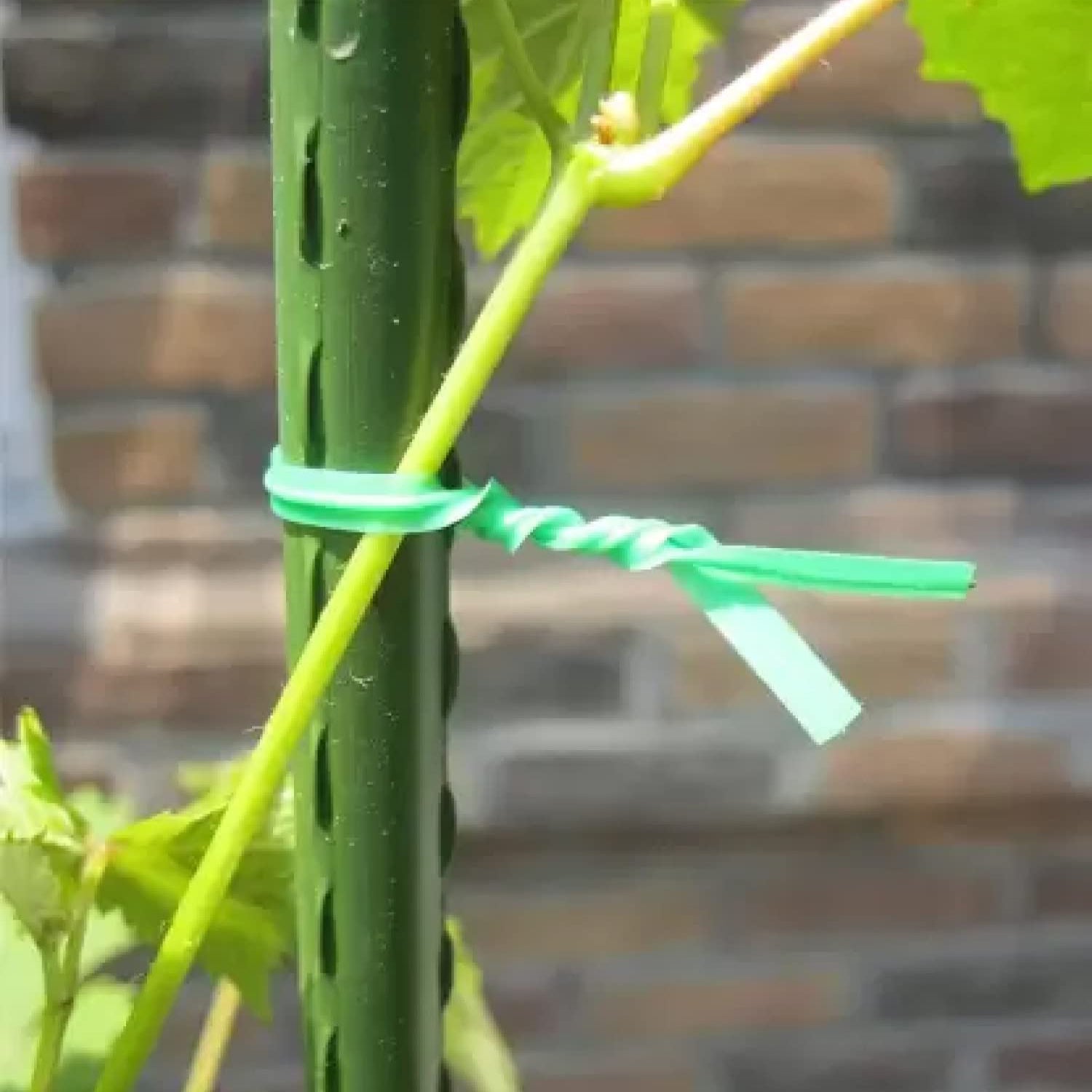 Garden Wire, Sturdy Plant Ties for Support, Garden Ties with Cutter for Tomatoes Vines, Plant Wire Tie Wire for Indoor, Outdoor, Home and Office Use (50 Mtr) - Bhavnagar Deodap