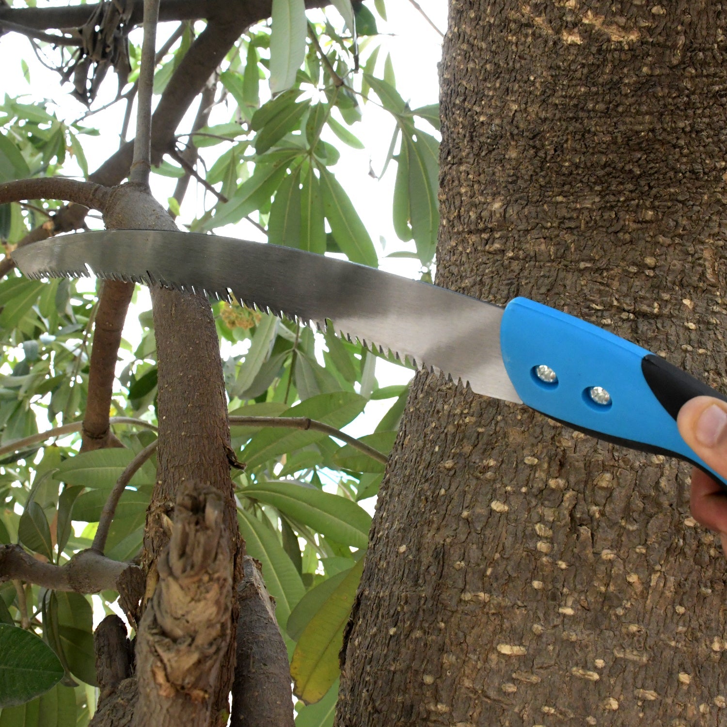 20 inch Pruning Saw With High Carbon Steel Hand Saw Edge Sharpen Teeth With Cover Packing Perfect For Gardening, Grass, Tree Cutting, Plants, Shrubs, Wood, branch cut - Bhavnagar Deodap