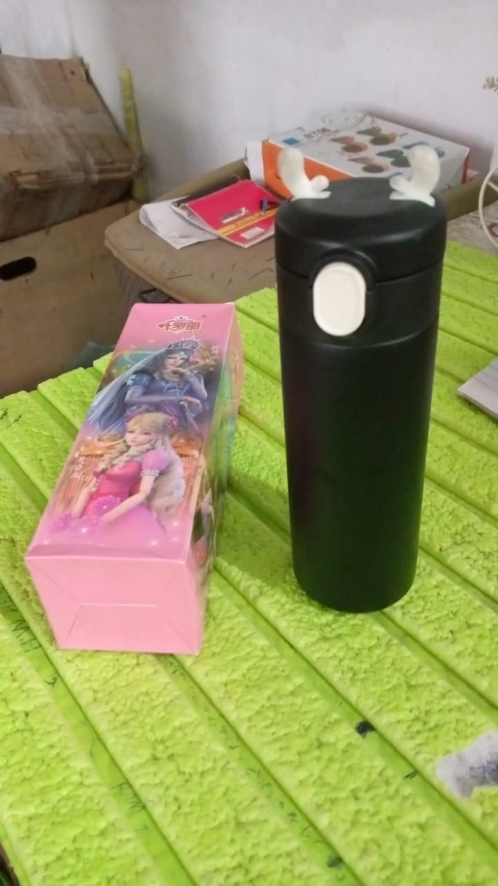 Stainless Steel Water Bottle Leak Proof, Rust Proof (450 ML Approx) - Bhavnagar Deodap