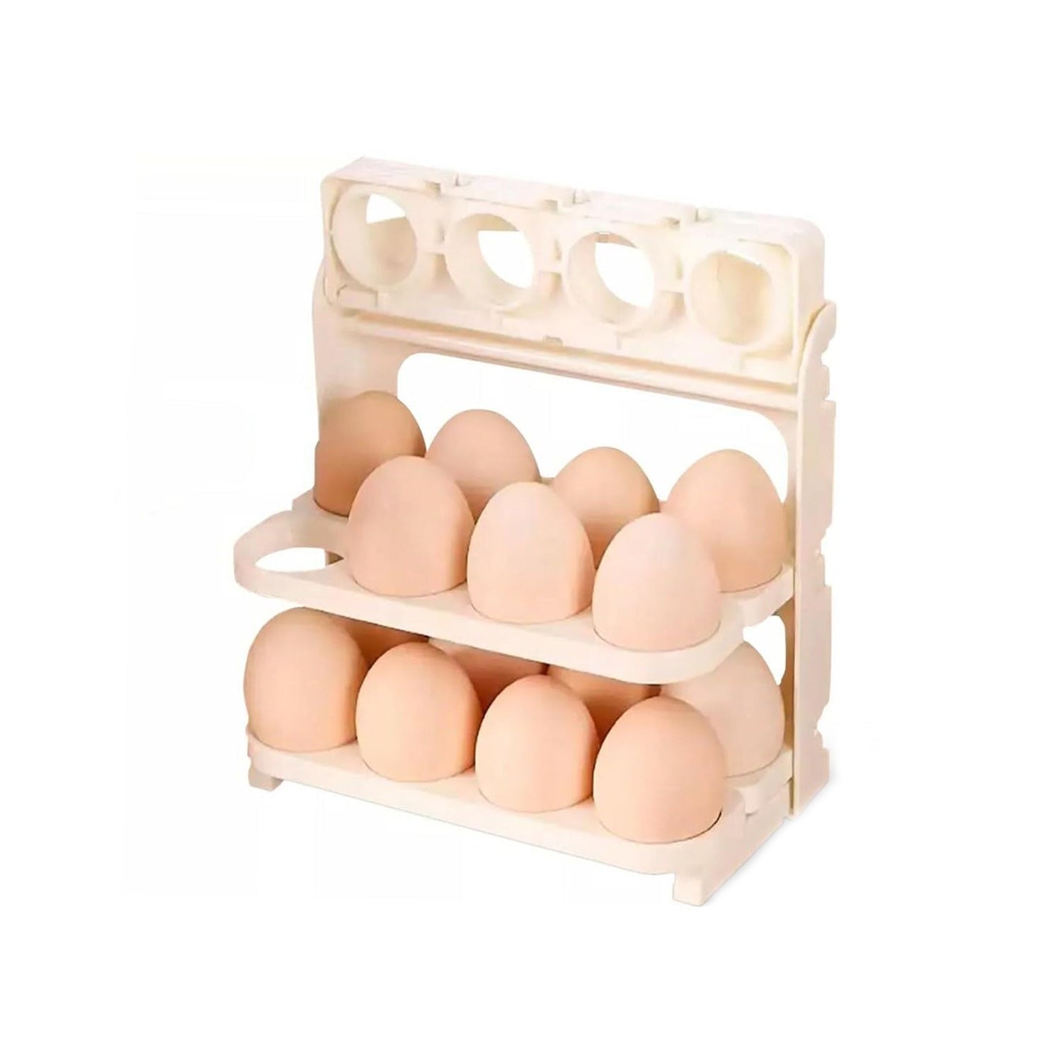 24 Grid Egg Storage Box (1 Pc)