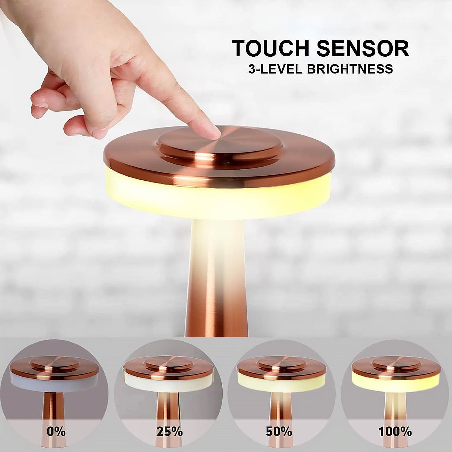 Decorative Desk Lamp, Portable Metal LED Table Lamp, USB Rechargeable, 3 Color, 3 Levels Brightness, Dimmable Eye Protection Modern Lamp for Home Decor Party Kids Room Bedroom (1 Pc) - Bhavnagar Deodap