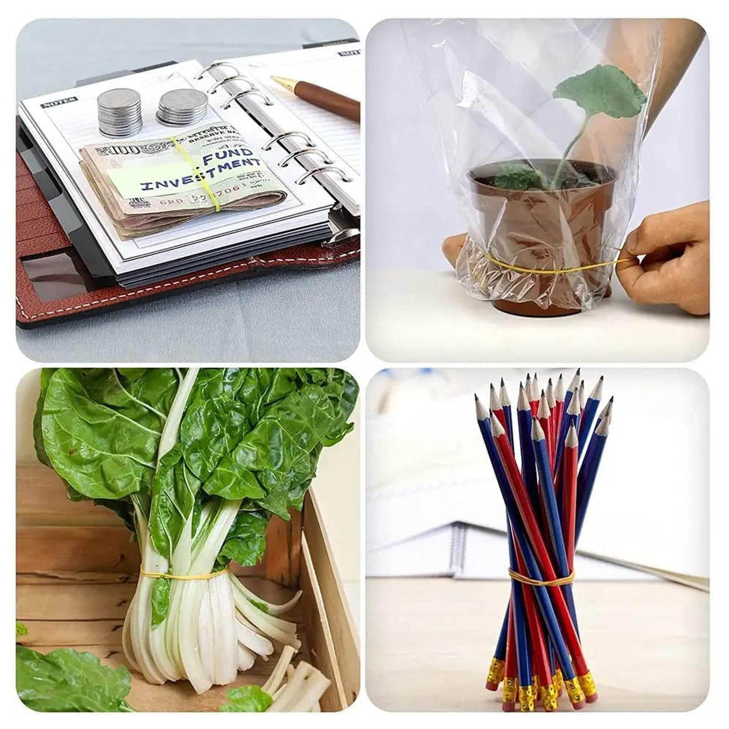 RUBBER BAND FOR OFFICE/HOME AND KITCHEN ACCESSORIES ITEM PRODUCTS, ELASTIC RUBBER BANDS, FLEXIBLE REUSABLE NYLON ELASTIC UNBREAKABLE, FOR STATIONERY, SCHOOL MULTICOLOR (2 Inch 50 GM)) - Bhavnagar Deodap
