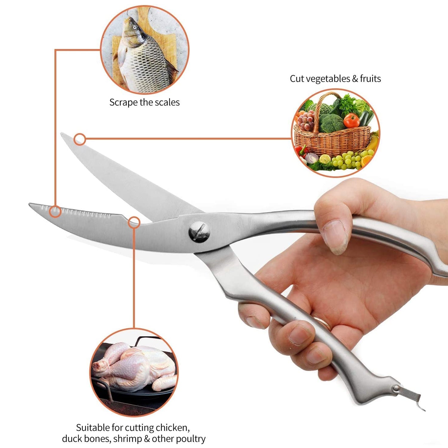 Heavy Duty Stainless Steel Poultry Shears, Premium Ultra Sharp Spring-Loaded Kitchen - Bhavnagar Deodap