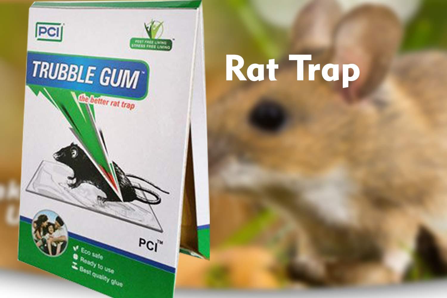 PCI Cardboard Troublegum Small Size Mouse Trap-1pc - Bhavnagar Deodap