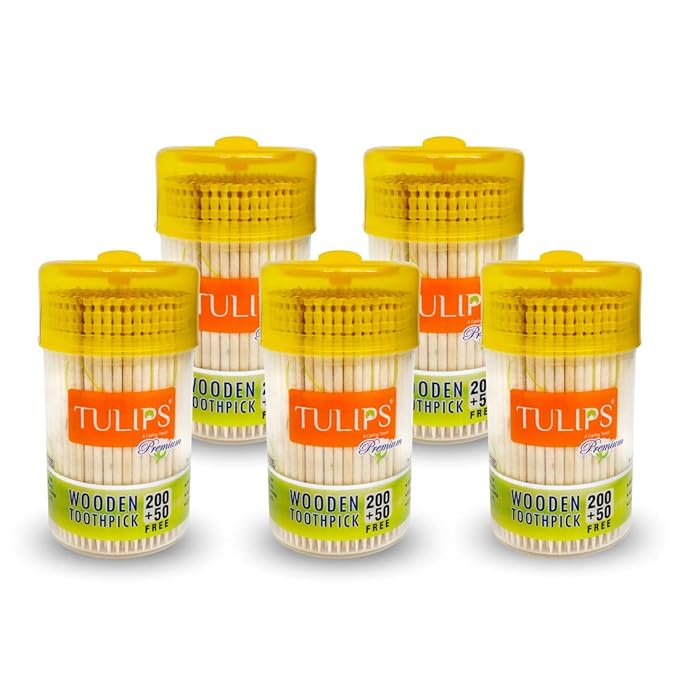 Tulips Disposable Wooden Toothpicks - Bhavnagar Deodap