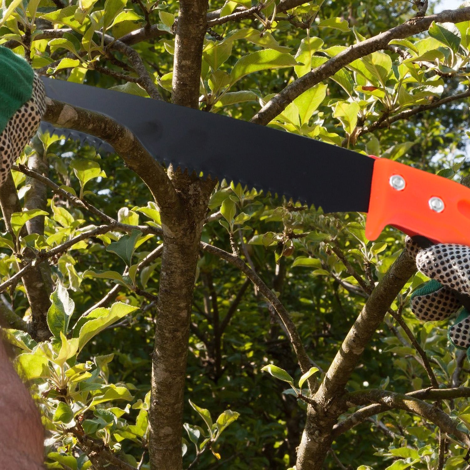 Hand Pruning Saw for Tree Branch Cutter (1 Pc) - Bhavnagar Deodap