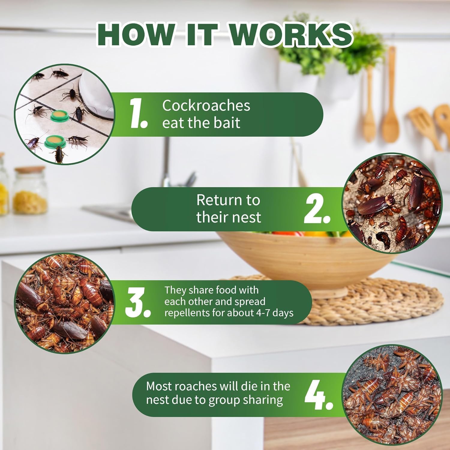 Natural Cockroach Killer for Kitchens, Bathrooms, and Cabinets, cockroach killer gel, roach repellent for cockroach, for Indoor Cockroach Control, Insect Control (6)