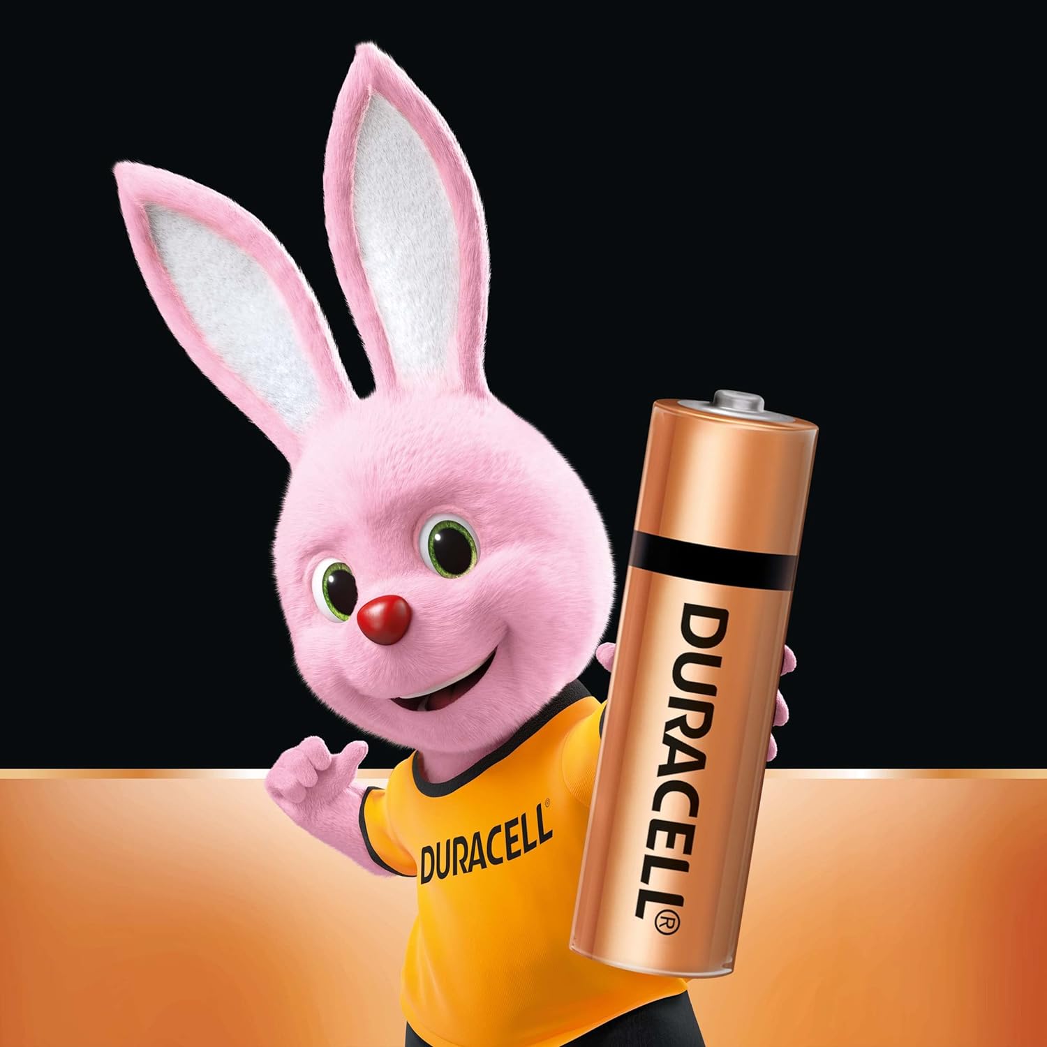 Duracell Alkaline AA Batteries, Pack of 2 - Bhavnagar Deodap