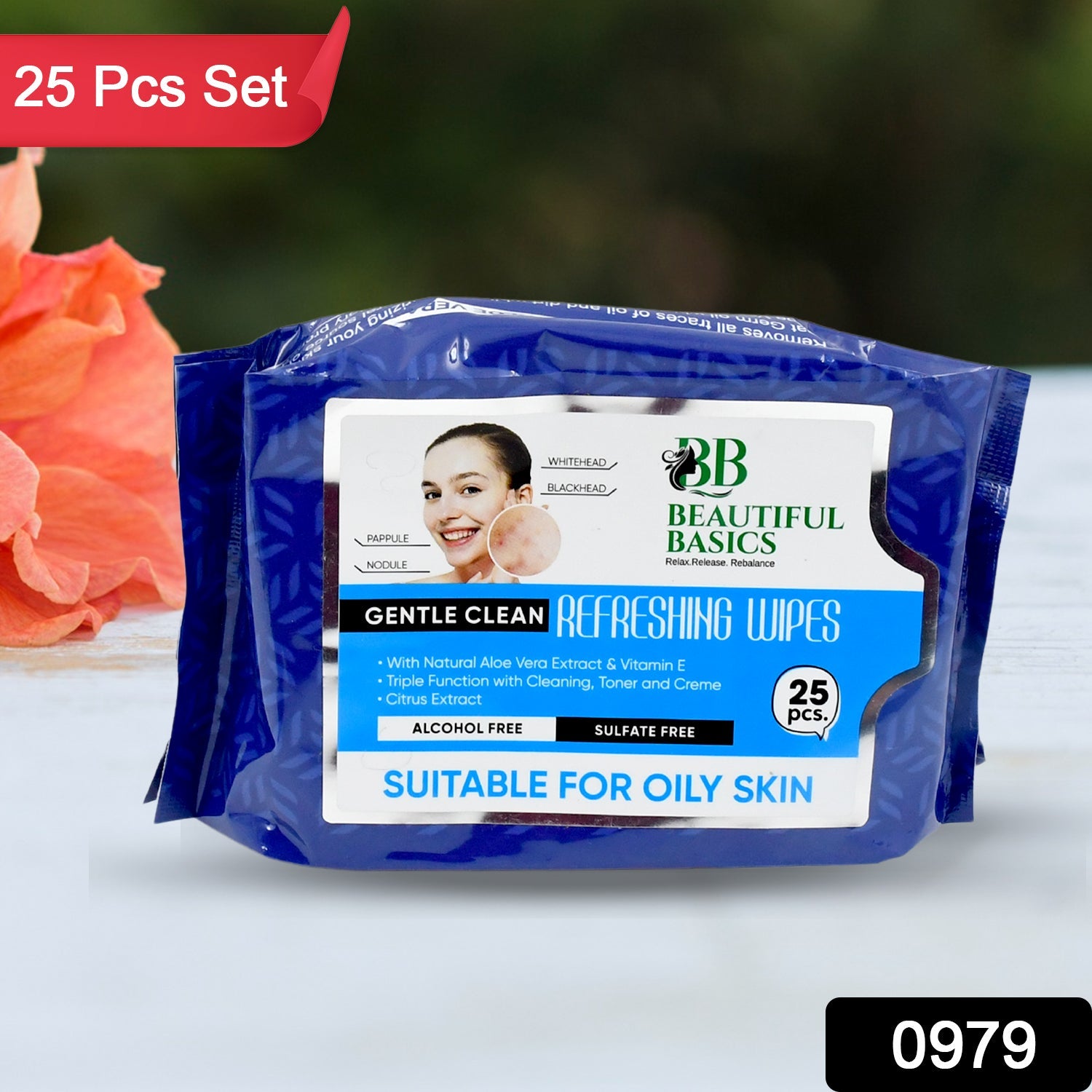 25 Wipes - Bhavnagar Deodap