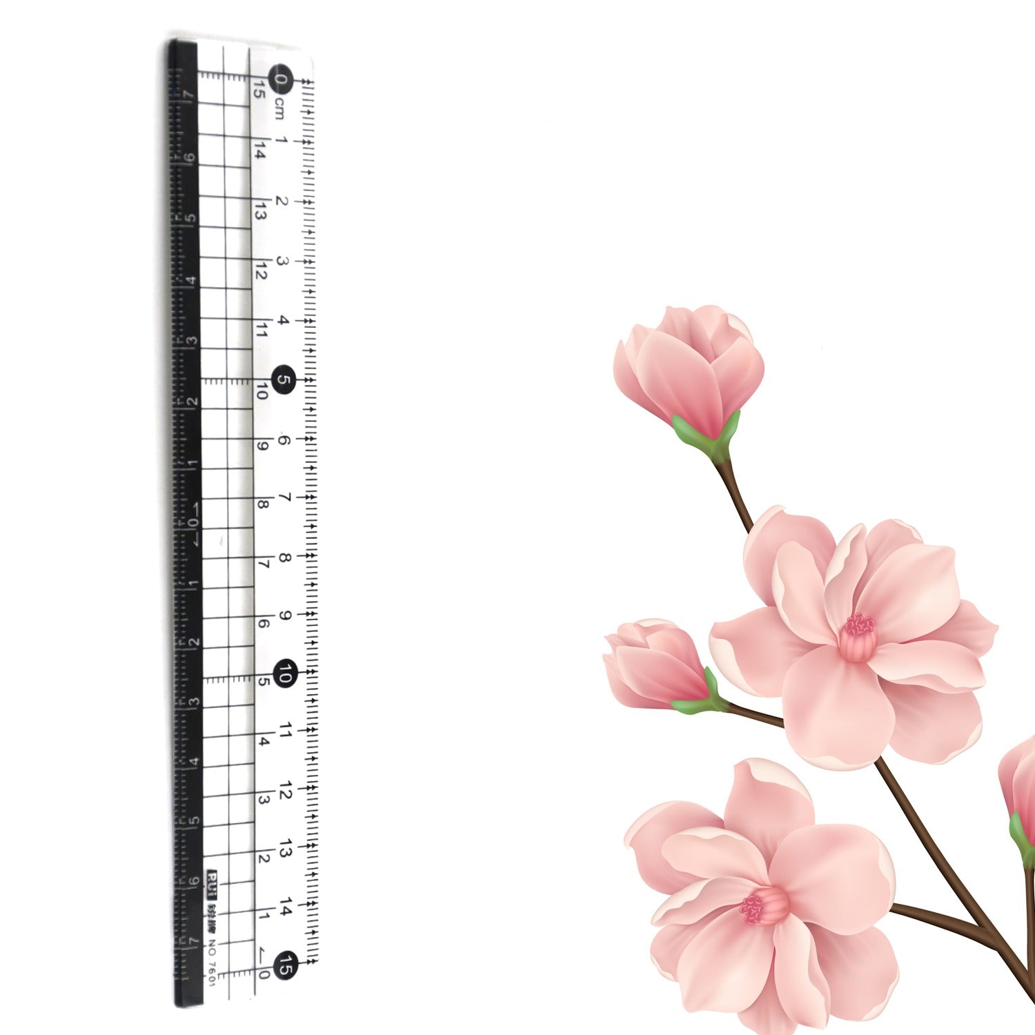 TRANSPARENT RULER, PLASTIC RULERS, FOR SCHOOL CLASSROOM, HOME, OR OFFICE (15 Cm) - Bhavnagar Deodap