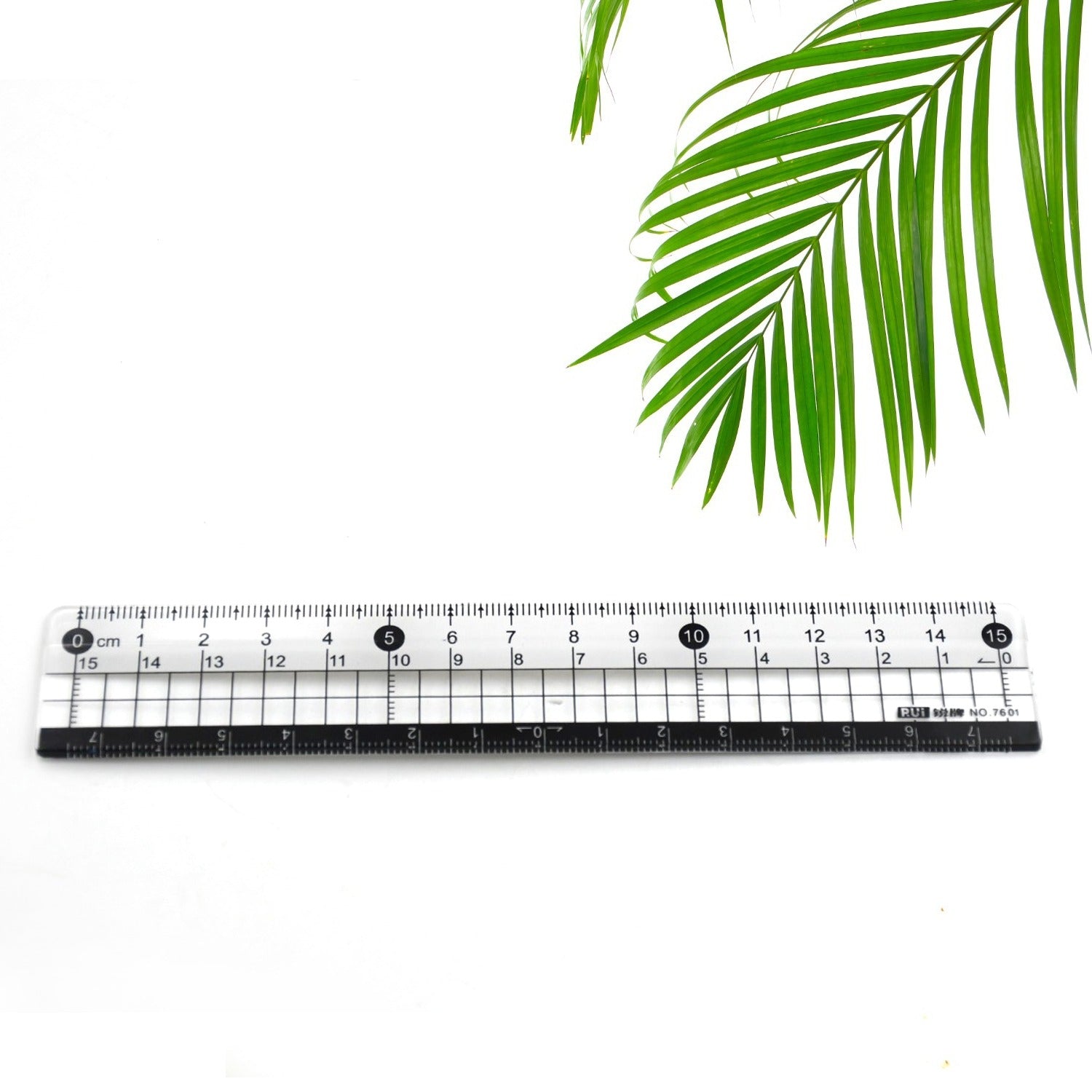 TRANSPARENT RULER, PLASTIC RULERS, FOR SCHOOL CLASSROOM, HOME, OR OFFICE (15 Cm) - Bhavnagar Deodap