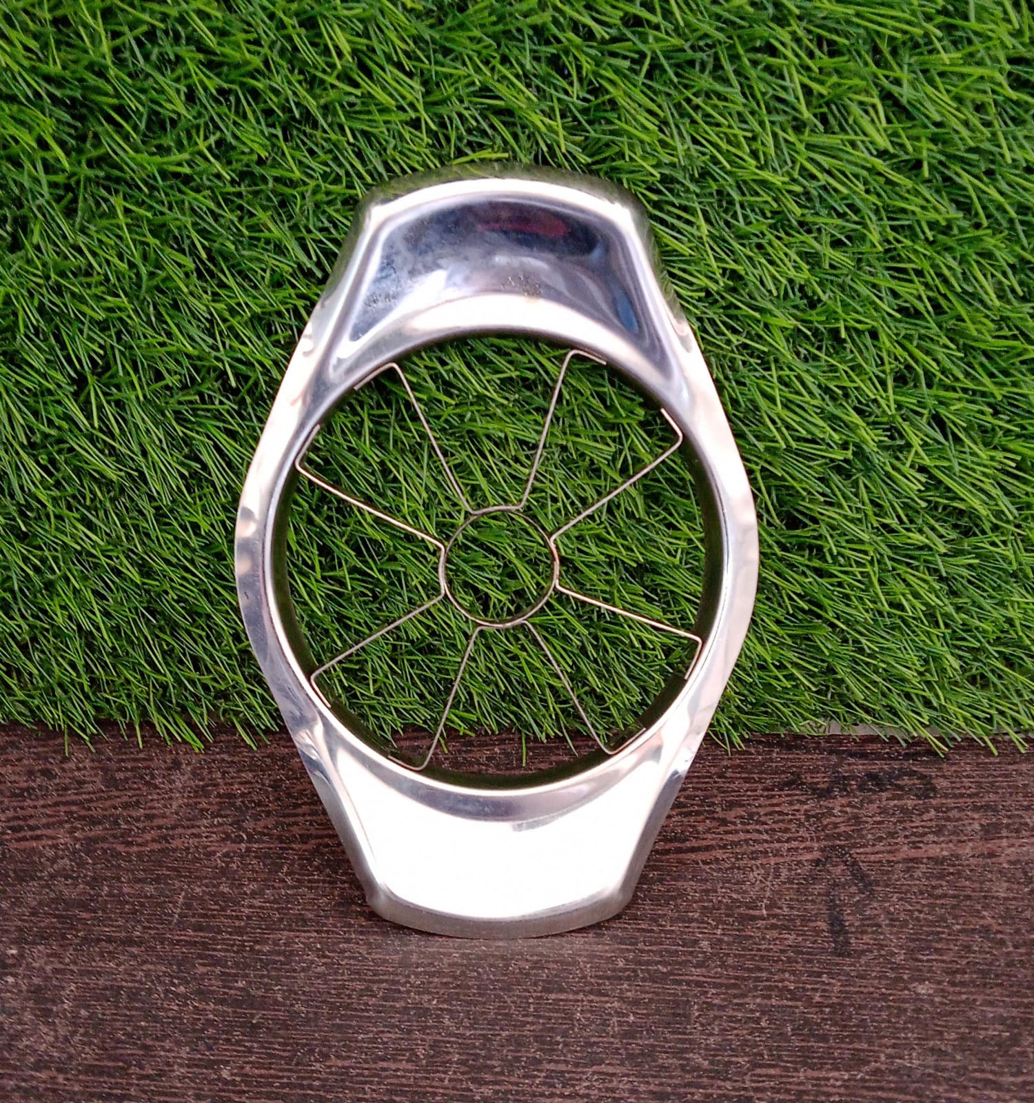 Stainless Steel Apple Cutter / Slicer with 8 Blades and Handle - Bhavnagar Deodap