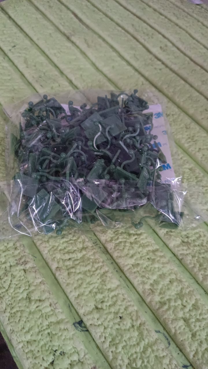Plant Climbing Wall Fixture Clip Self-Adhesive Hook (100 Pcs Set) - Bhavnagar Deodap